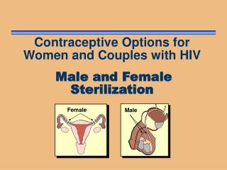 Contraceptive Options for Women and Couples with HIV Male and Female Sterilization