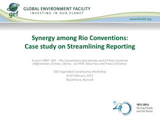 Synergy among Rio Conventions: Case study on Streamlining Reporting