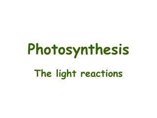 Photosynthesis