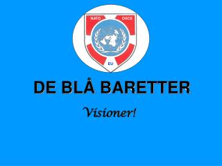 DE BLÅ BARETTER