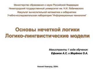 Нижегородский государственный университет им. Н.И. Лобачевского