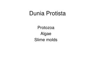 Dunia Protista