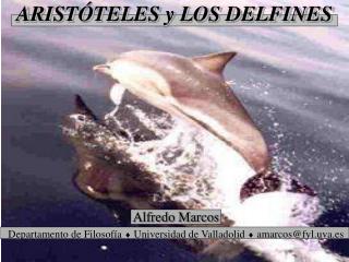 ARISTÓTELES y LOS DELFINES