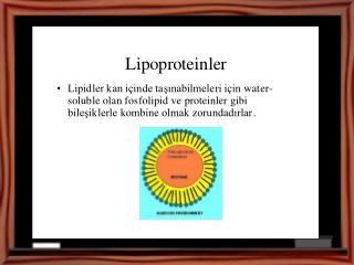 Lipoprotein sınıflandırılması