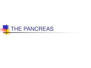 THE PANCREAS