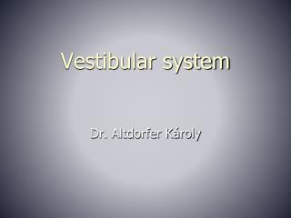 Vestibular system