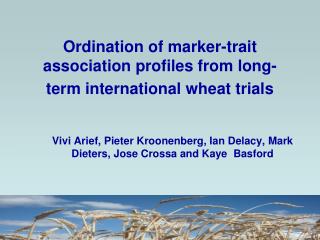Ordination of marker-trait association profiles from long-term international wheat trials