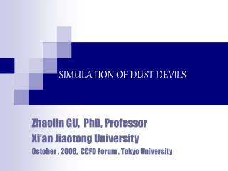 SIMULATION OF DUST DEVILS