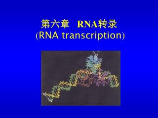 第六章 RNA 转录 ( RNA transcription )