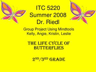 ITC 5220 Summer 2008 Dr. Riedl