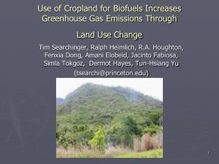 Use of Cropland for Biofuels Increases Greenhouse Gas Emissions Through Land Use Change