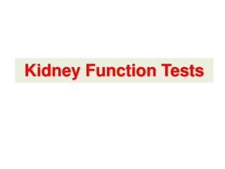 Kidney Function Tests