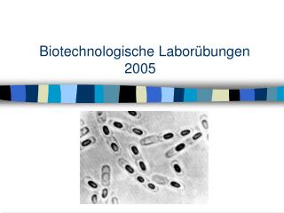 Biotechnologische Laborübungen 			2005