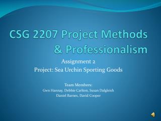 CSG 2207 Project Methods &amp; Professionalism