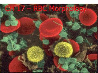 CH 17 – RBC Morphology