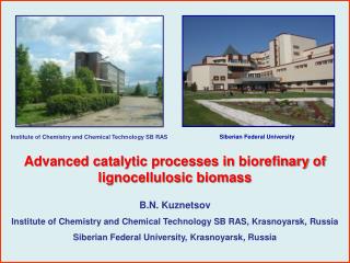 Advanced catalytic processes in biorefinary of lignocellulosic biomass