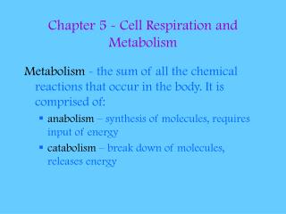 Chapter 5 - Cell Respiration and Metabolism