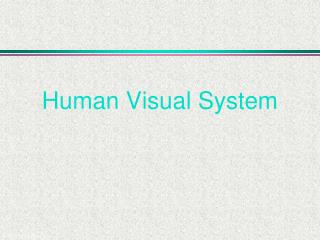 Human Visual System