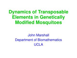 Dynamics of Transposable Elements in Genetically Modified Mosquitoes