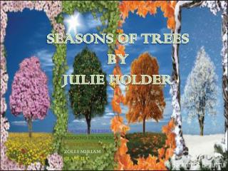 SEASONS OF TREES BY JULIE HOLDER