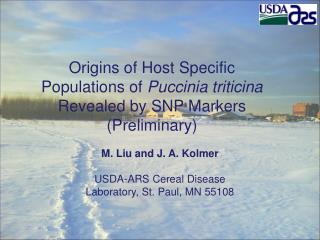 Origins of Host Specific Populations of Puccinia triticina Revealed by SNP Markers (Preliminary)