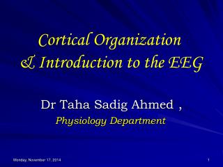 Cortical Organization &amp; Introduction to the EEG