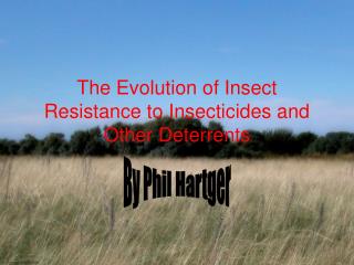 The Evolution of Insect Resistance to Insecticides and Other Deterrents