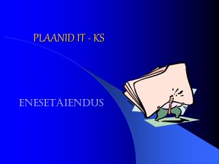 PLAANID IT - KS