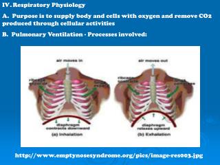 IV . Respiratory Physiology