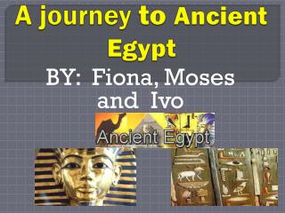 A journey to Ancient Egypt