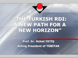 “THE TURKISH RDI: A NEW PATH FOR A NEW HORIZON”