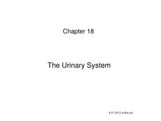 The Urinary System