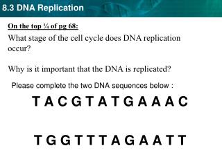 Please complete the two DNA sequences below : T A C G T A T G A A A C T G G T T T A G A A T T