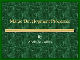 Marae Development Processes