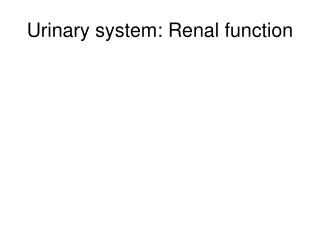 Urinary system: Renal function