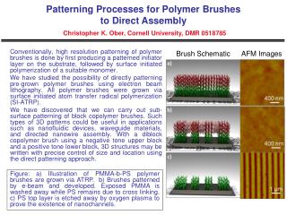 Brush Schematic