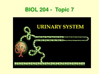 BIOL 204 - Topic 7