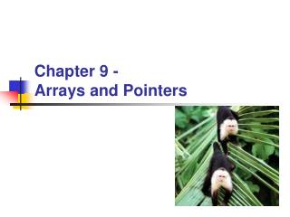 Chapter 9 - Arrays and Pointers
