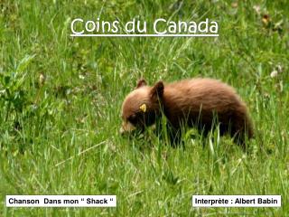 Coins du Canada