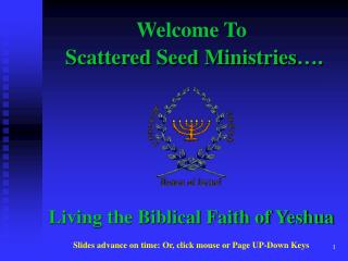Scattered Seed Ministries….