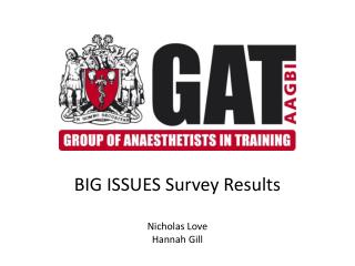 BIG ISSUES Survey Results Nicholas Love Hannah Gill