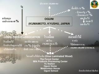 ป่าสนบ้านวัดจันทร์ เชียงใหม่