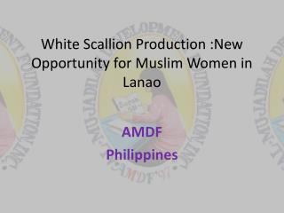 White Scallion Production :New Opportunity for Muslim Women in Lanao