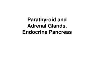 Parathyroid and Adrenal Glands, Endocrine Pancreas