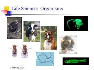 Life Science: Organisms