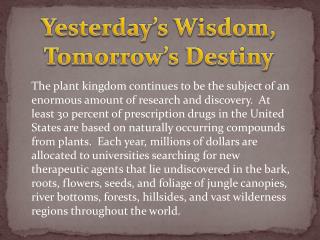 Yesterday’s Wisdom, Tomorrow’s Destiny