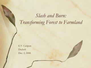 Slash and Burn: Transforming Forest to Farmland