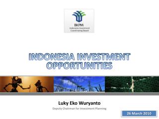 INDONESIA INVESTMENT OPPORTUNITIES