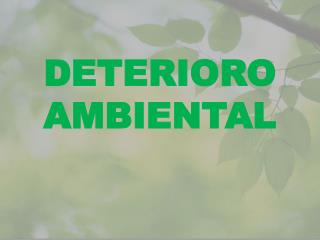 DETERIORO AMBIENTAL