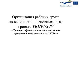 Организация рабочих групп по выполнению основных задач проекта TEMPUS IV